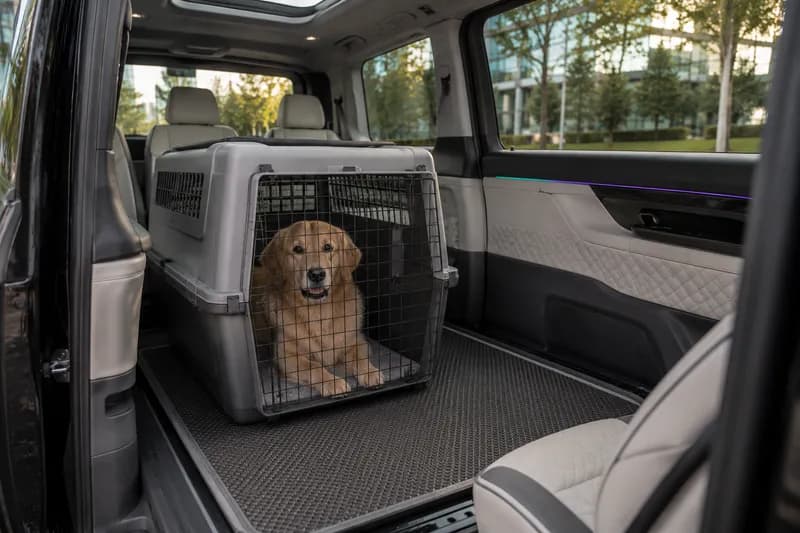 Şişli VIP Pet Transfer