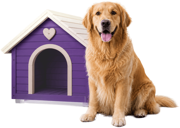 Pet Otel