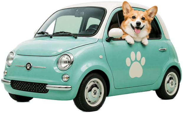 Pet Taksi