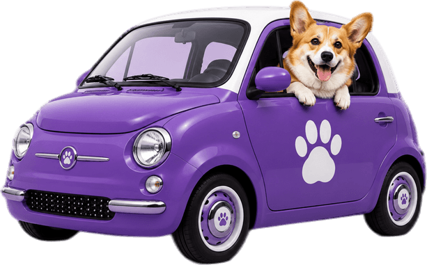 Pet Taksi